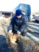 Дневной Центр ГУ «РРЦДИ» принял участие в акции «Поможем друзьям нашим меньшим