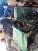 Дневной Центр ГУ «РРЦДИ» принял участие в акции «Поможем друзьям нашим меньшим Дневной Центр ГУ «РРЦДИ» принял участие в акции «Поможем друзьям нашим меньшим