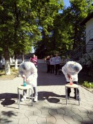 Международный день медицинской сестры Международный день медицинской сестры