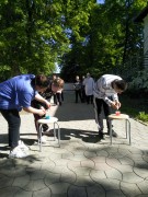 Международный день медицинской сестры Международный день медицинской сестры