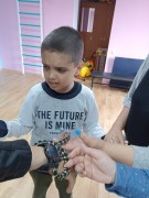К нам в гости приехал контактный зоопарк К нам в гости приехал контактный зоопарк