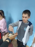 К нам в гости приехал контактный зоопарк К нам в гости приехал контактный зоопарк