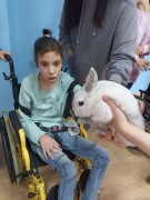 К нам в гости приехал контактный зоопарк К нам в гости приехал контактный зоопарк